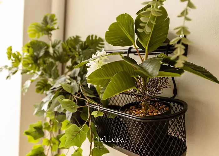 Meliora Διαμέρισμα Νέα Αρτάκη